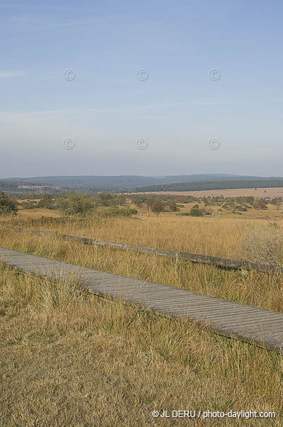 les Hautes Fagnes